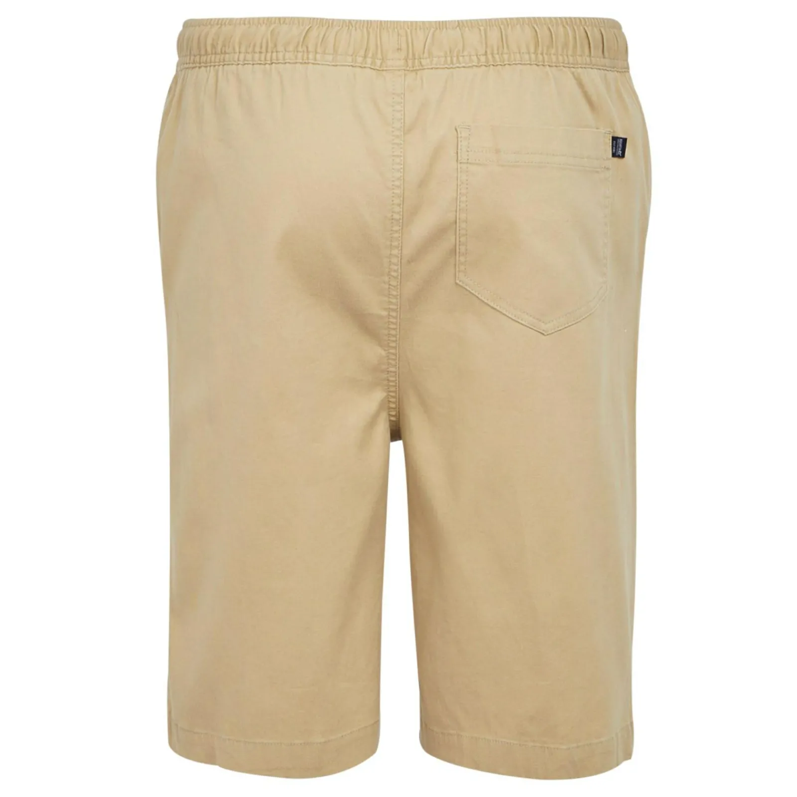 Regatta Aldan Casual Homme Short chino |<Homme Shorts