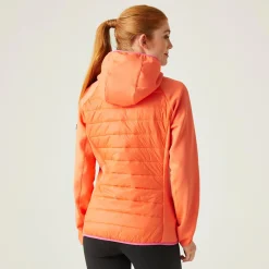 Regatta Andreson VIII Femme Veste hybride |<Femme Vestes Hybrides
