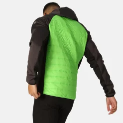 Regatta Andreson VIII Homme Veste légère hybride |<Homme Vestes Hybrides