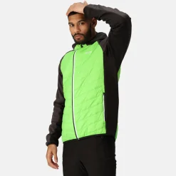 Regatta Andreson VIII Homme Veste légère hybride |<Homme Vestes Hybrides
