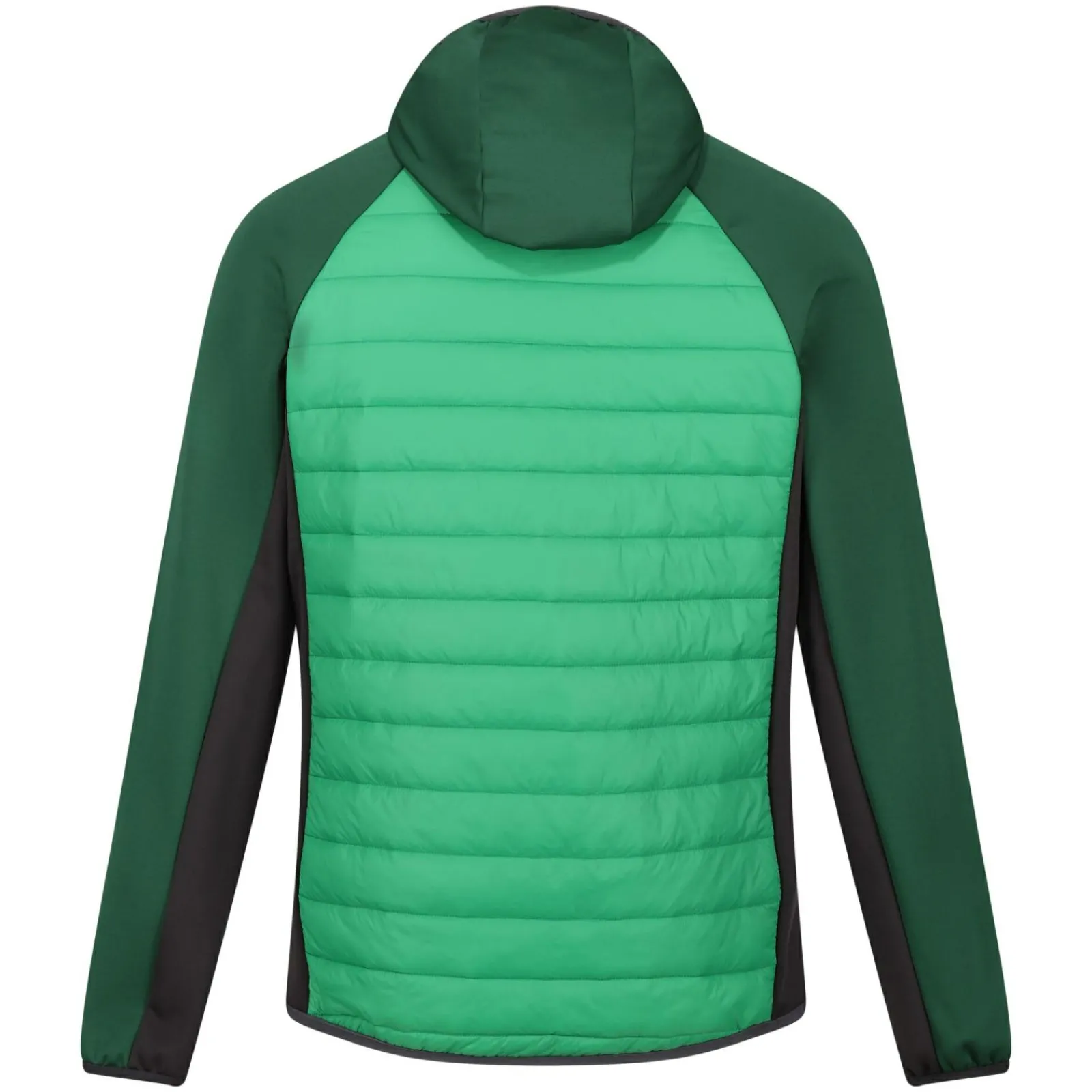 Regatta Andreson VIII Homme Veste légère hybride |<Homme Vestes Hybrides