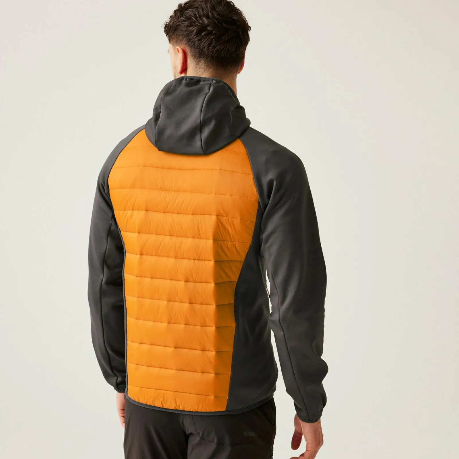 Regatta Andreson VIII Homme Veste légère hybride |<Homme Vestes Hybrides|Vestes Légères