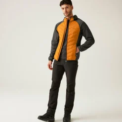 Regatta Andreson VIII Homme Veste légère hybride |<Homme Vestes Hybrides|Vestes Légères