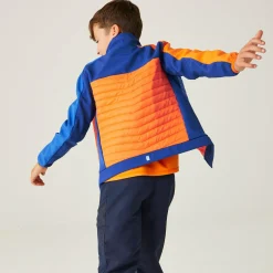 Regatta Brynden Enfant Veste baffled |<Enfant Vêtements Garçon|Doudoune