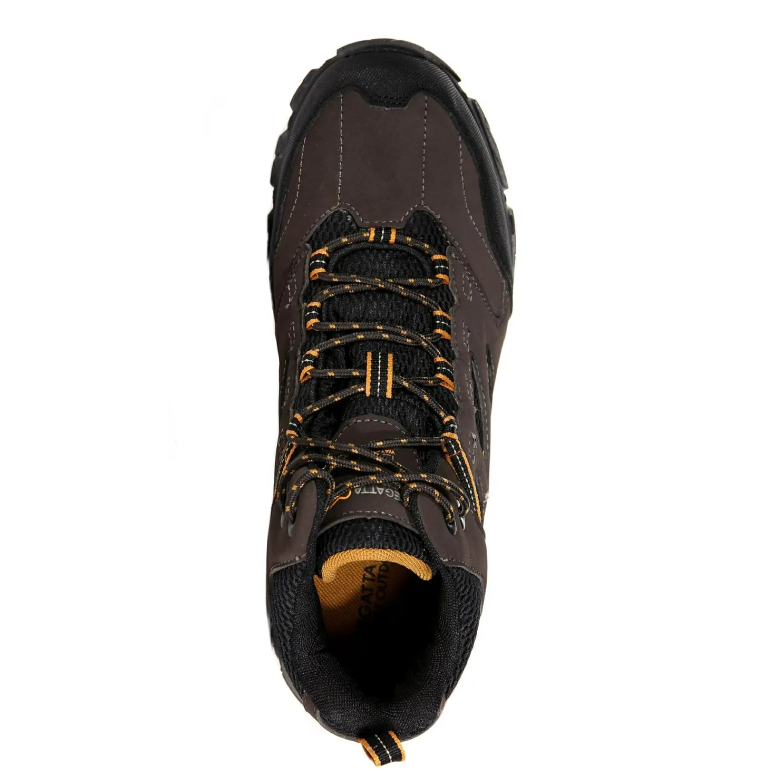 Regatta Chaussures techniques Holcombe IEP |<Homme Bottes De Marche|Bottes De Marche