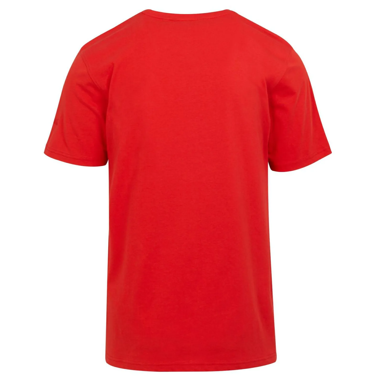 Regatta Cline VIII Homme T-shirt |<Homme/Femme T-Shirts