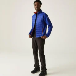 Regatta Clumber IV Homme Veste hybride |<Homme Vestes Hybrides