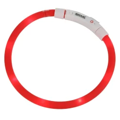 Regatta Collier pour chien réfléchissant LED |< Colliers Pour Chiens