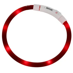 Regatta Collier pour chien réfléchissant LED |< Colliers Pour Chiens