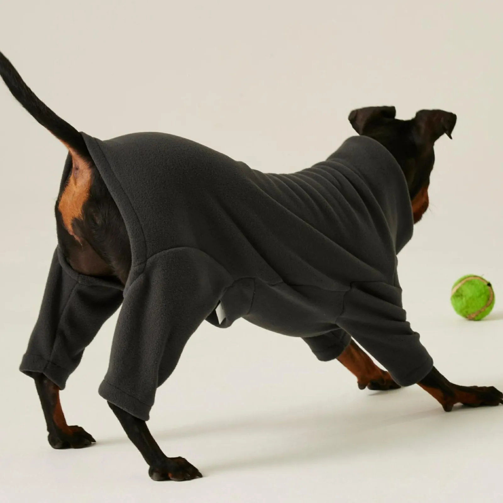 Regatta Combinaison anti-boue pour chien |< Manteaux Pour Chiens