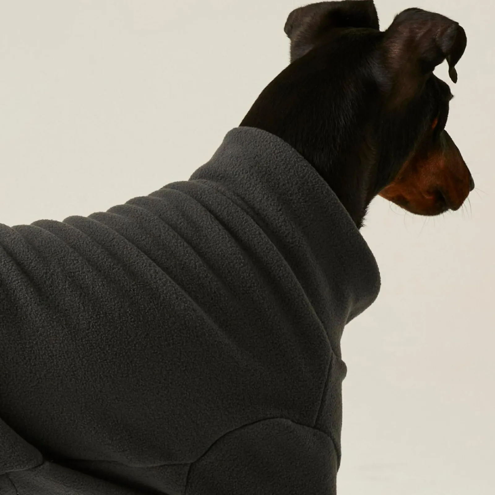 Regatta Combinaison anti-boue pour chien |< Manteaux Pour Chiens