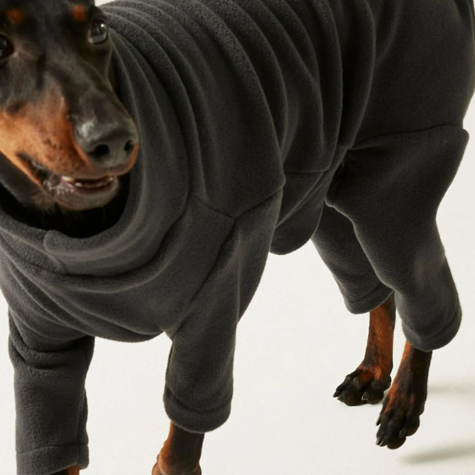 Regatta Combinaison anti-boue pour chien |< Manteaux Pour Chiens