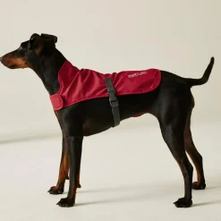 Regatta Couverture ppur chien pliante |< Manteaux Pour Chiens