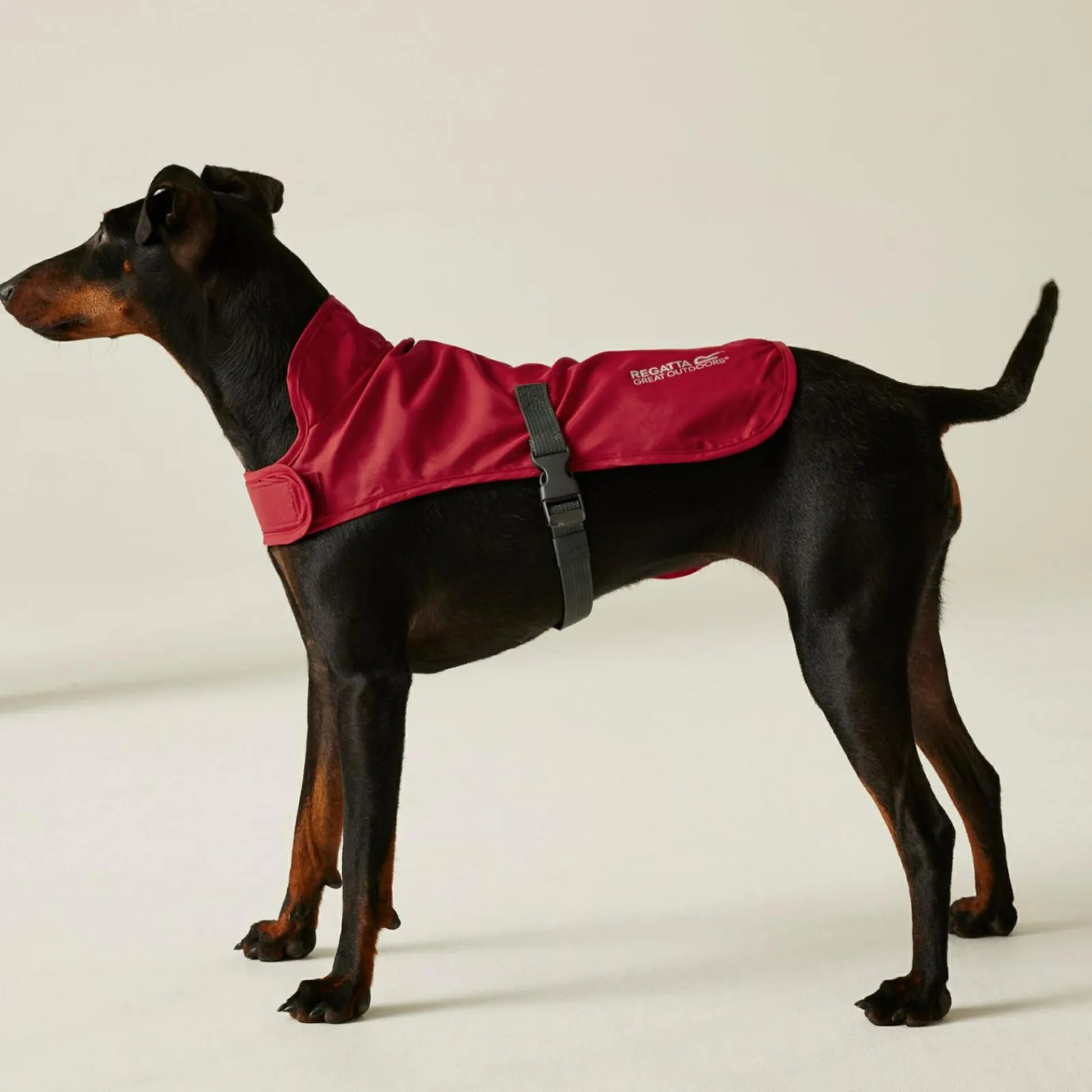 Regatta Couverture ppur chien pliante |< Manteaux Pour Chiens