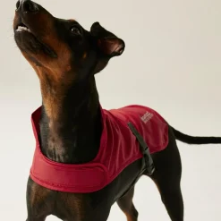 Regatta Couverture ppur chien pliante |< Manteaux Pour Chiens