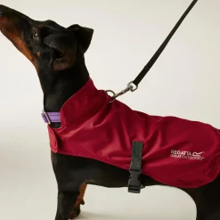 Regatta Couverture ppur chien pliante |< Manteaux Pour Chiens