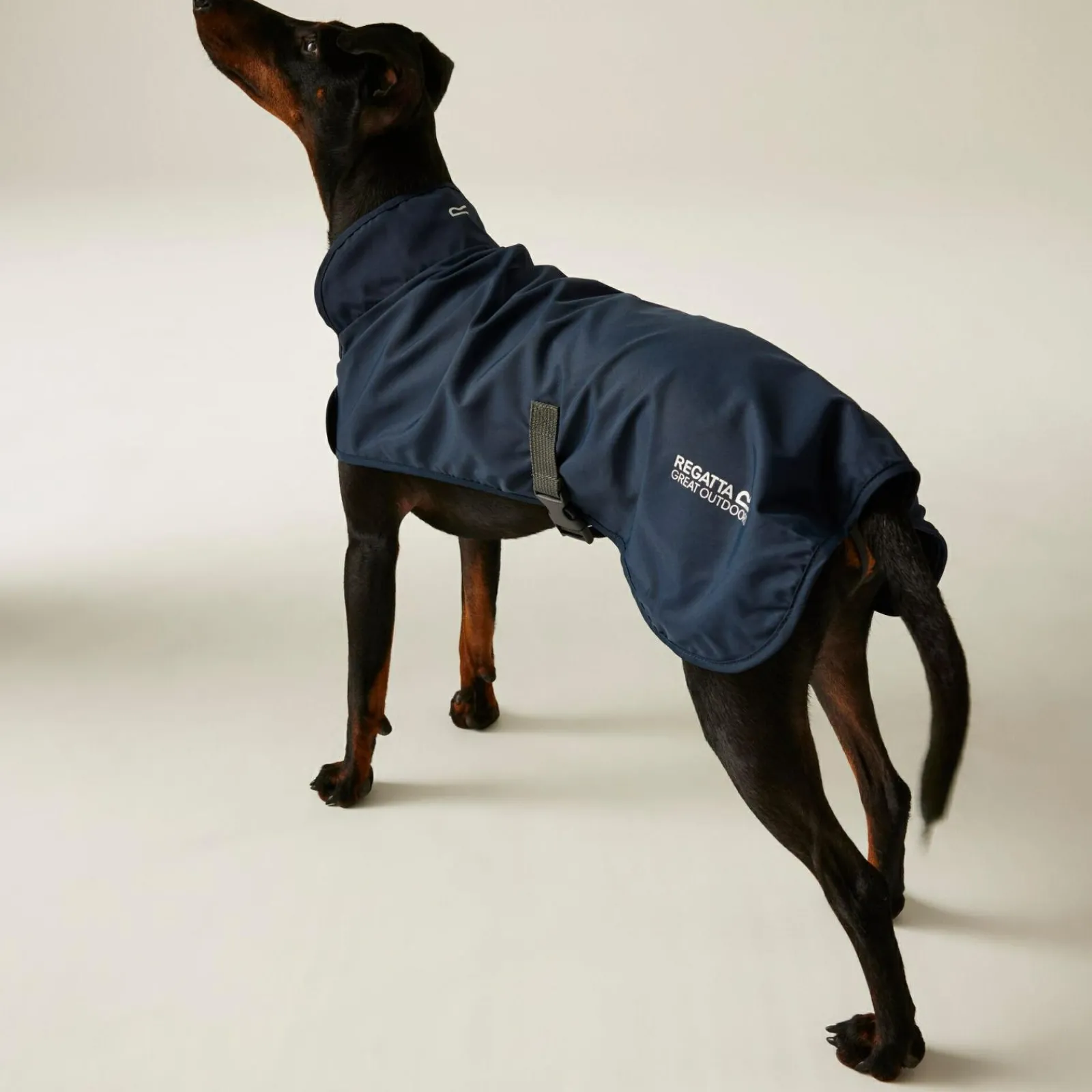 Regatta Couverture ppur chien pliante |< Manteaux Pour Chiens