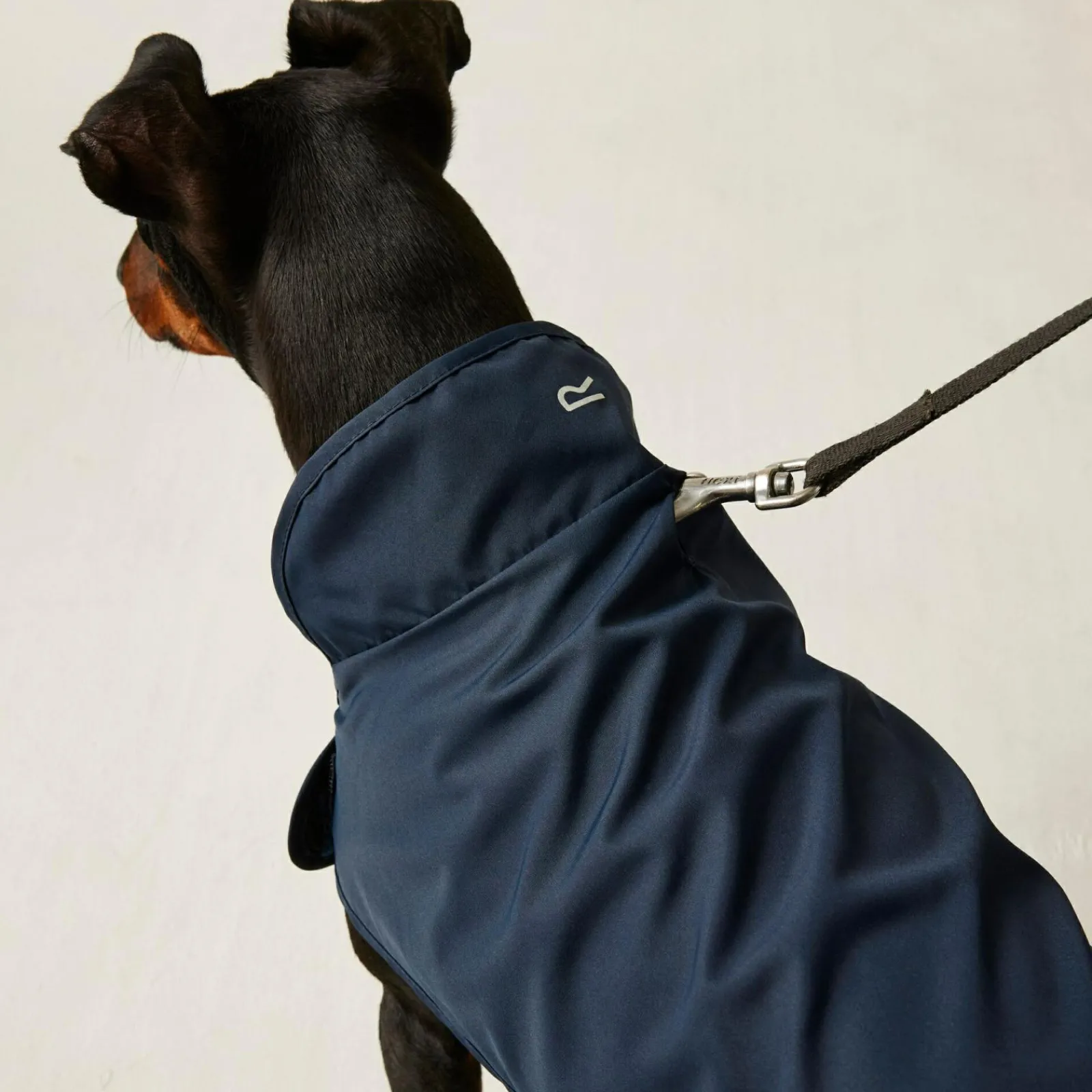 Regatta Couverture ppur chien pliante |< Manteaux Pour Chiens