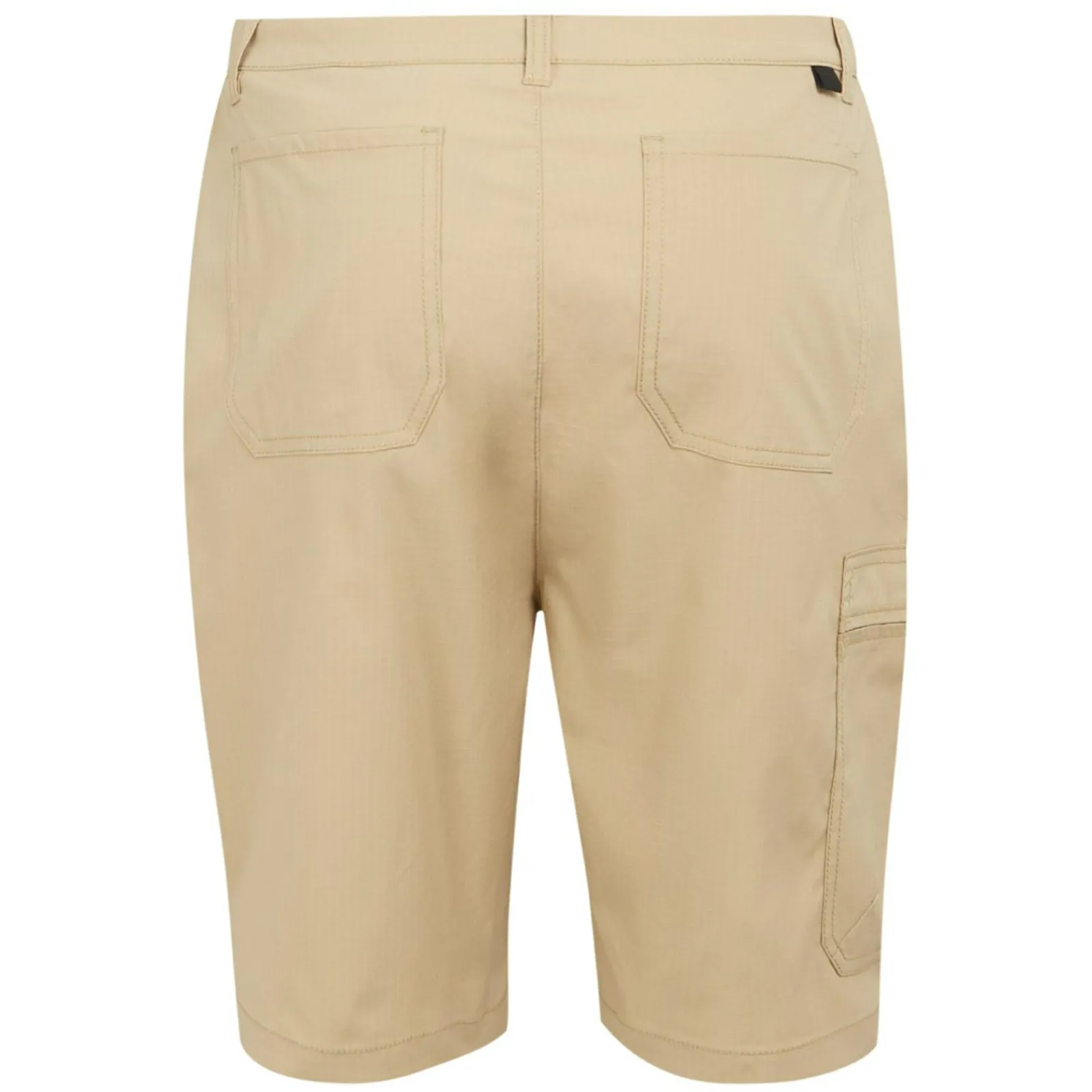 Regatta Dalry Homme Short à plusieurs poches |<Homme Shorts