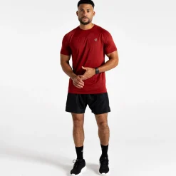 Regatta Dare 2b - T-shirt de fitness Homme Accelerate |<Homme/Femme T-Shirts
