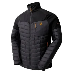 Regatta Dare 2b - Veste hybride Mountaineer II pour homme |<Homme Vestes Softshell