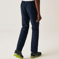 Regatta Dayhike IV Pantalon imperméable pour homme |<Homme Pantalons De Marche|Pantalons De Marche