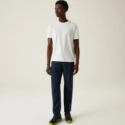 Regatta Dayhike IV Pantalon imperméable pour homme |<Homme Pantalons De Marche|Pantalons De Marche