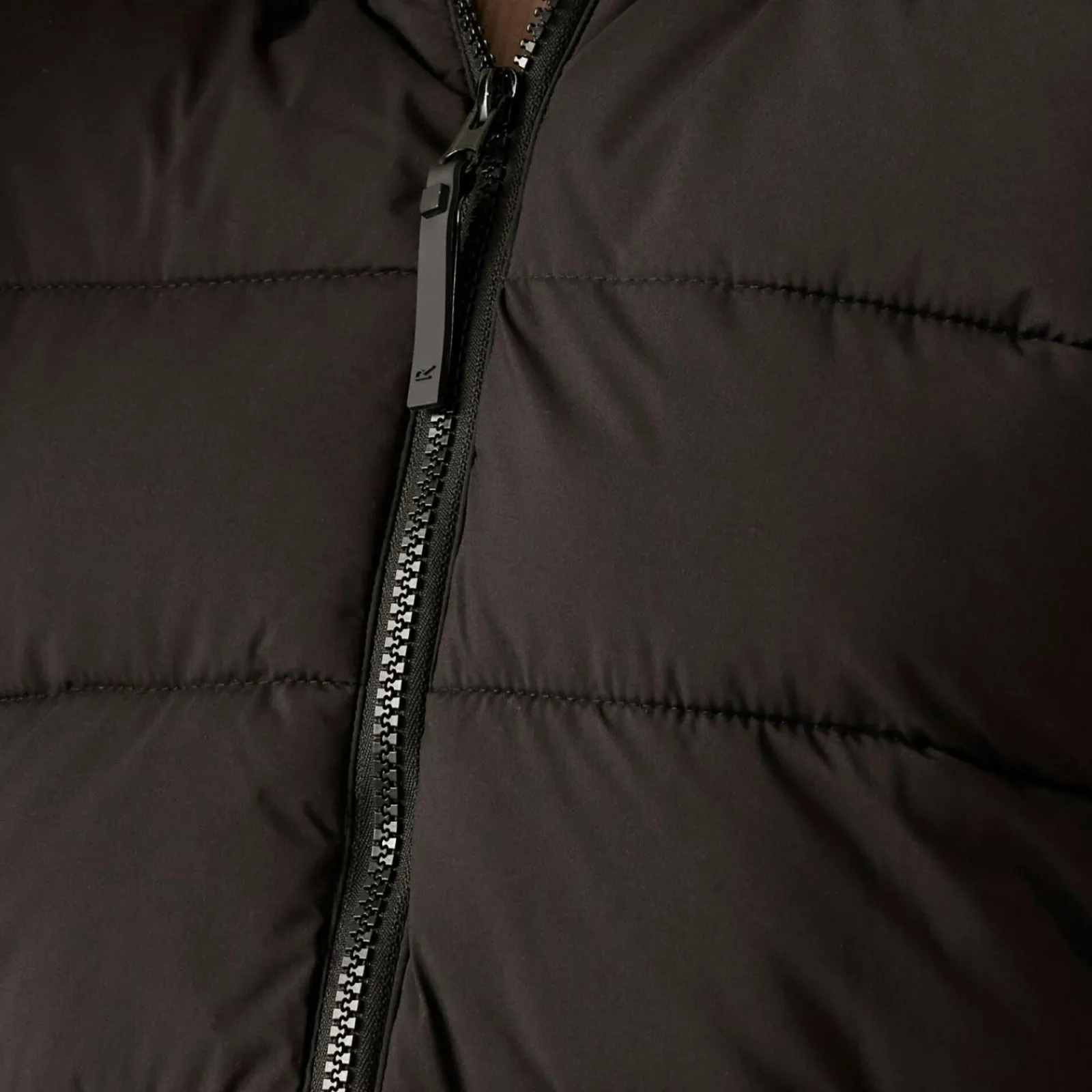 Regatta Elender Femme Veste baffled |<Femme Doudounes|Parkas