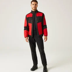 Regatta E-Volve Homme Veste hybride thermique |<Homme Vestes & Manteaux|Vestes