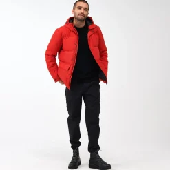 Regatta Falkner Homme Veste baffled |<Homme Doudounes
