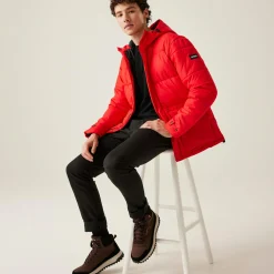Regatta Falkner Homme Veste baffled |<Homme Doudounes|Vestes Parka