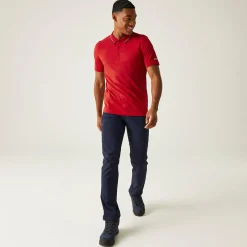 Regatta Forley Homme T-shirt |<Homme/Femme Polos