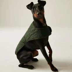 Regatta Gilet de Protection pour chien Odie |< Manteaux Pour Chiens