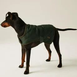 Regatta Gilet de Protection pour chien Odie |< Manteaux Pour Chiens