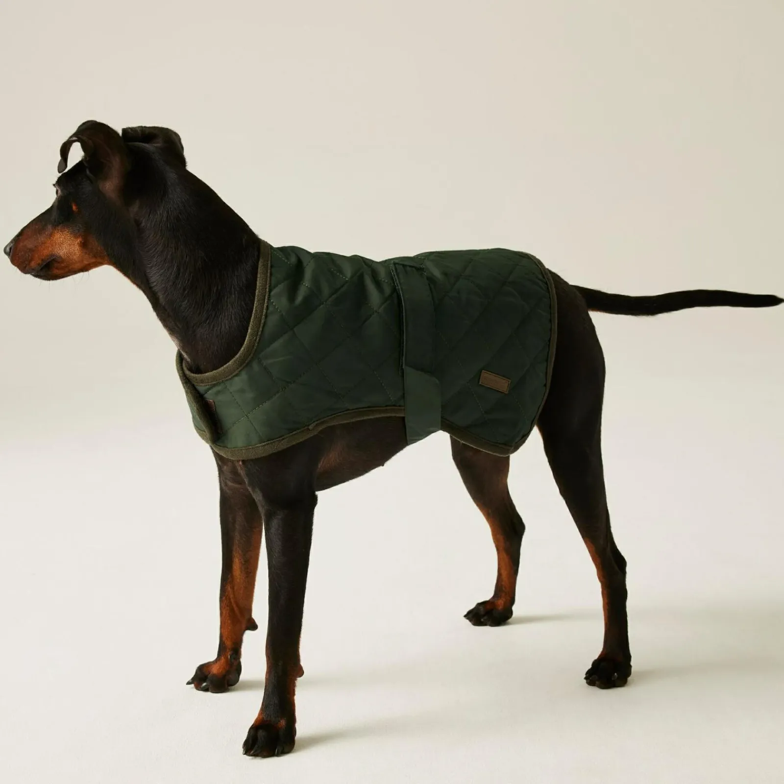 Regatta Gilet de Protection pour chien Odie |< Manteaux Pour Chiens