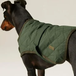 Regatta Gilet de Protection pour chien Odie |< Manteaux Pour Chiens