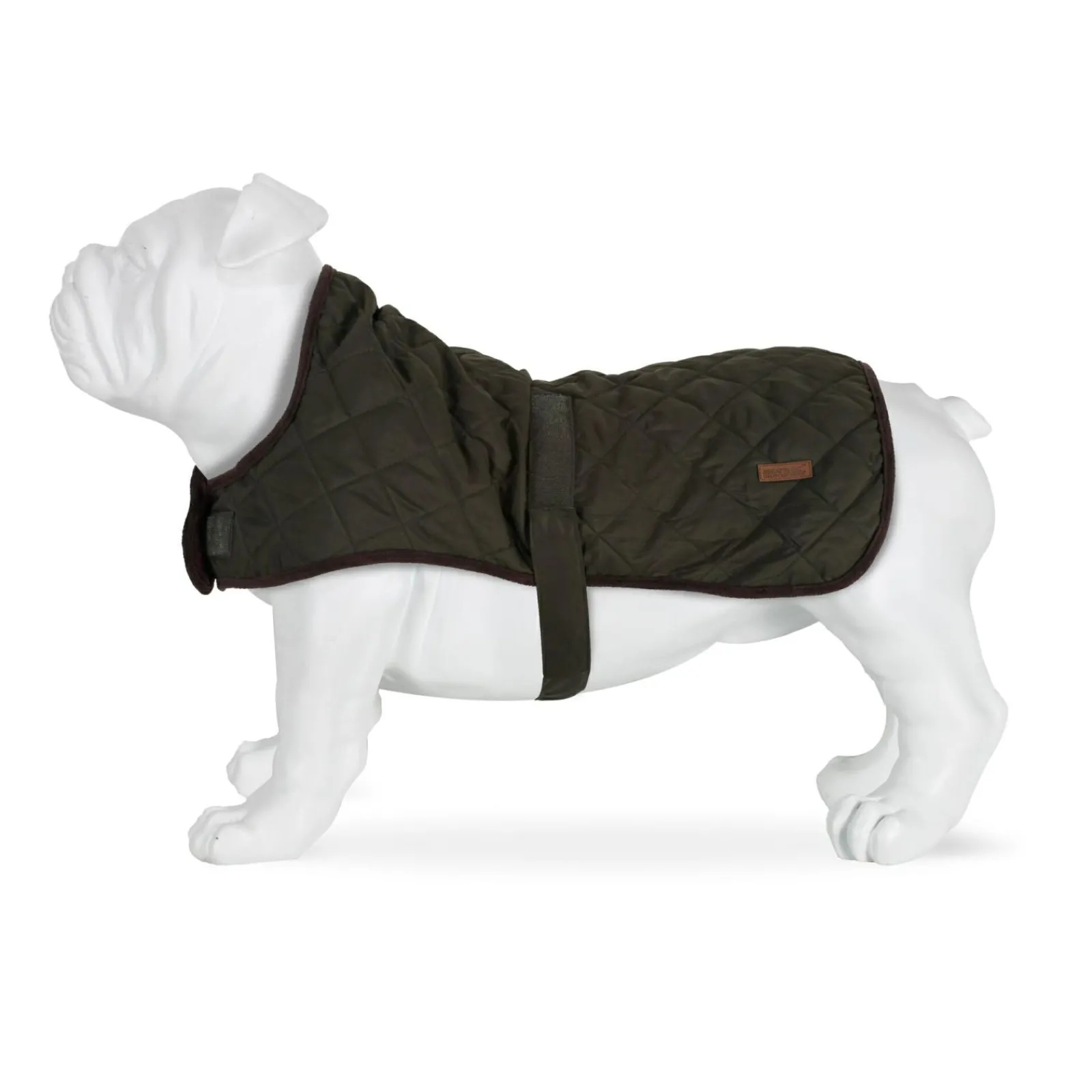 Regatta Gilet de Protection pour chien Odie |< Manteaux Pour Chiens