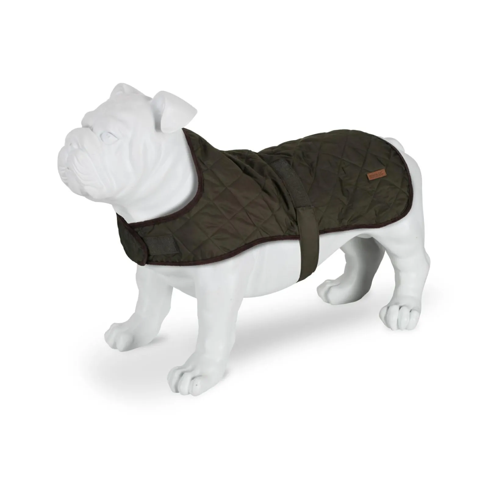 Regatta Gilet de Protection pour chien Odie |< Manteaux Pour Chiens