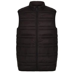 Regatta Gilet matelassé sans manches isolant Homme FIREDOWN |< Vestes Sans Manches|Vestes Sans Manches