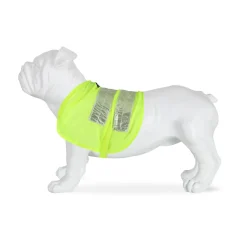 Regatta Gilet réfléchissant pour chien |< Manteaux Pour Chiens