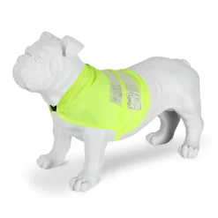 Regatta Gilet réfléchissant pour chien |< Manteaux Pour Chiens