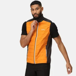 Regatta Halton VII Homme Gilet baffled |<Homme Vestes Sans Manches