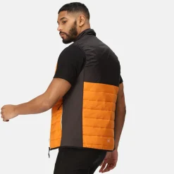 Regatta Halton VII Homme Gilet baffled |<Homme Vestes Sans Manches
