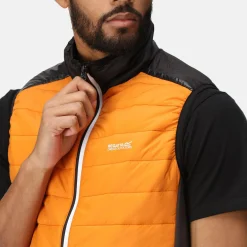 Regatta Halton VII Homme Gilet baffled |<Homme Vestes Sans Manches