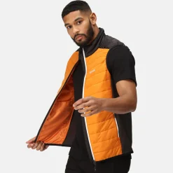 Regatta Halton VII Homme Gilet baffled |<Homme Vestes Sans Manches