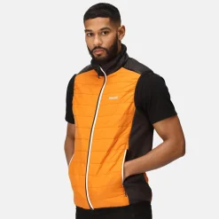 Regatta Halton VII Homme Gilet baffled |<Homme Vestes Sans Manches