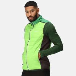 Regatta Halton VII Homme Gilet baffled |<Homme Vestes Sans Manches
