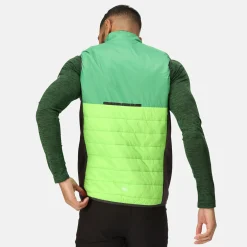 Regatta Halton VII Homme Gilet baffled |<Homme Vestes Sans Manches