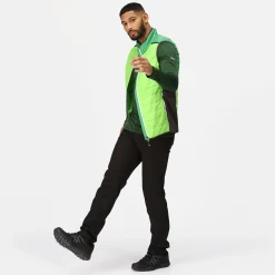 Regatta Halton VII Homme Gilet baffled |<Homme Vestes Sans Manches