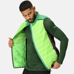 Regatta Halton VII Homme Gilet baffled |<Homme Vestes Sans Manches